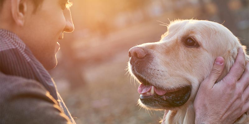 A dog with their human outside