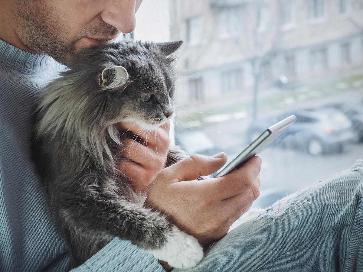 A cat and their person looking up a hospital