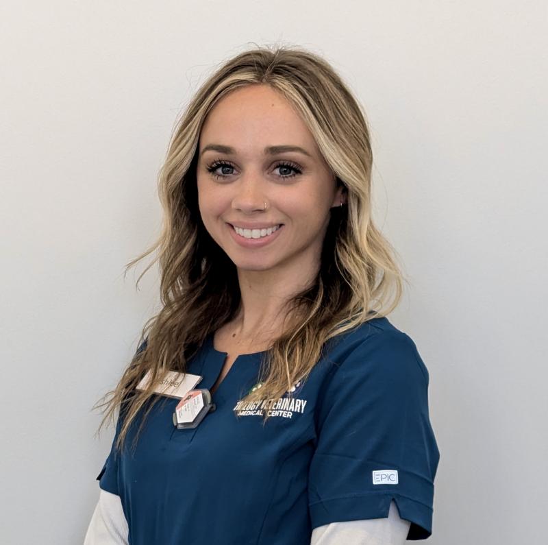Ashlee Whearley, Credentialed Veterinary Technician 