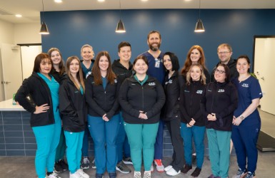 Trilogy Veterinary Medical Team 
